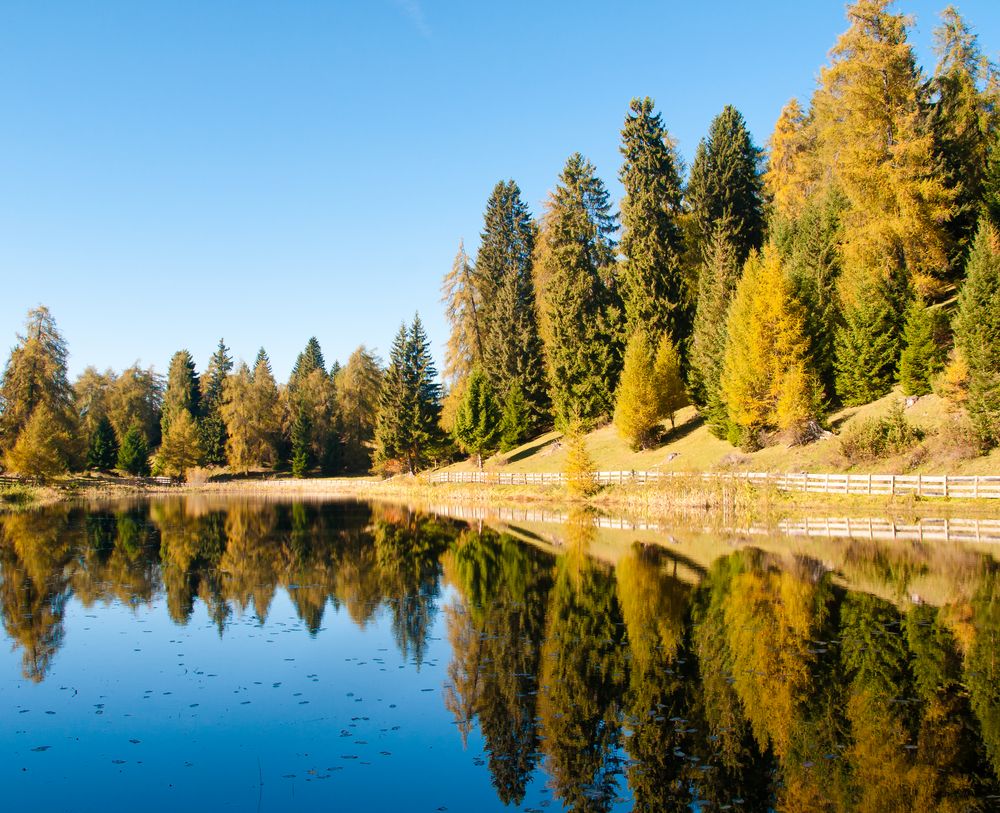 Fohrer Weiher im Herbst