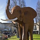 Foire à la ferraille -- Lectoure 02/2016 -- Schrottmarkt