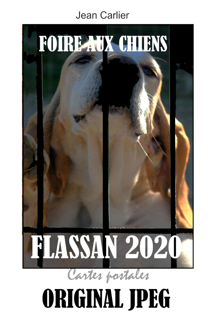 FOIRE AUX CHIENS FLASSAN 2020 ORIGINA L JPEG (1)