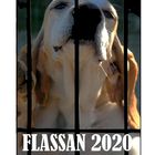 FOIRE AUX CHIENS FLASSAN 2020 ORIGINA L JPEG (1)