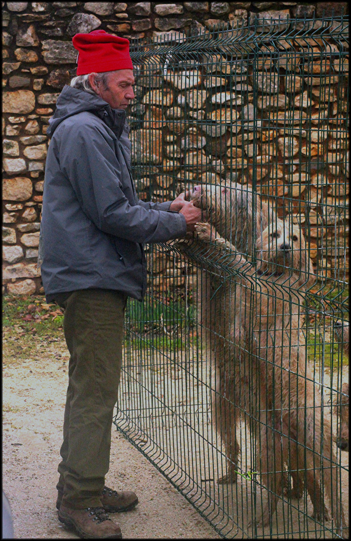 FOIRE AUX CHIENS FLASSAN 2020 ORIGINA L JPEG (9)