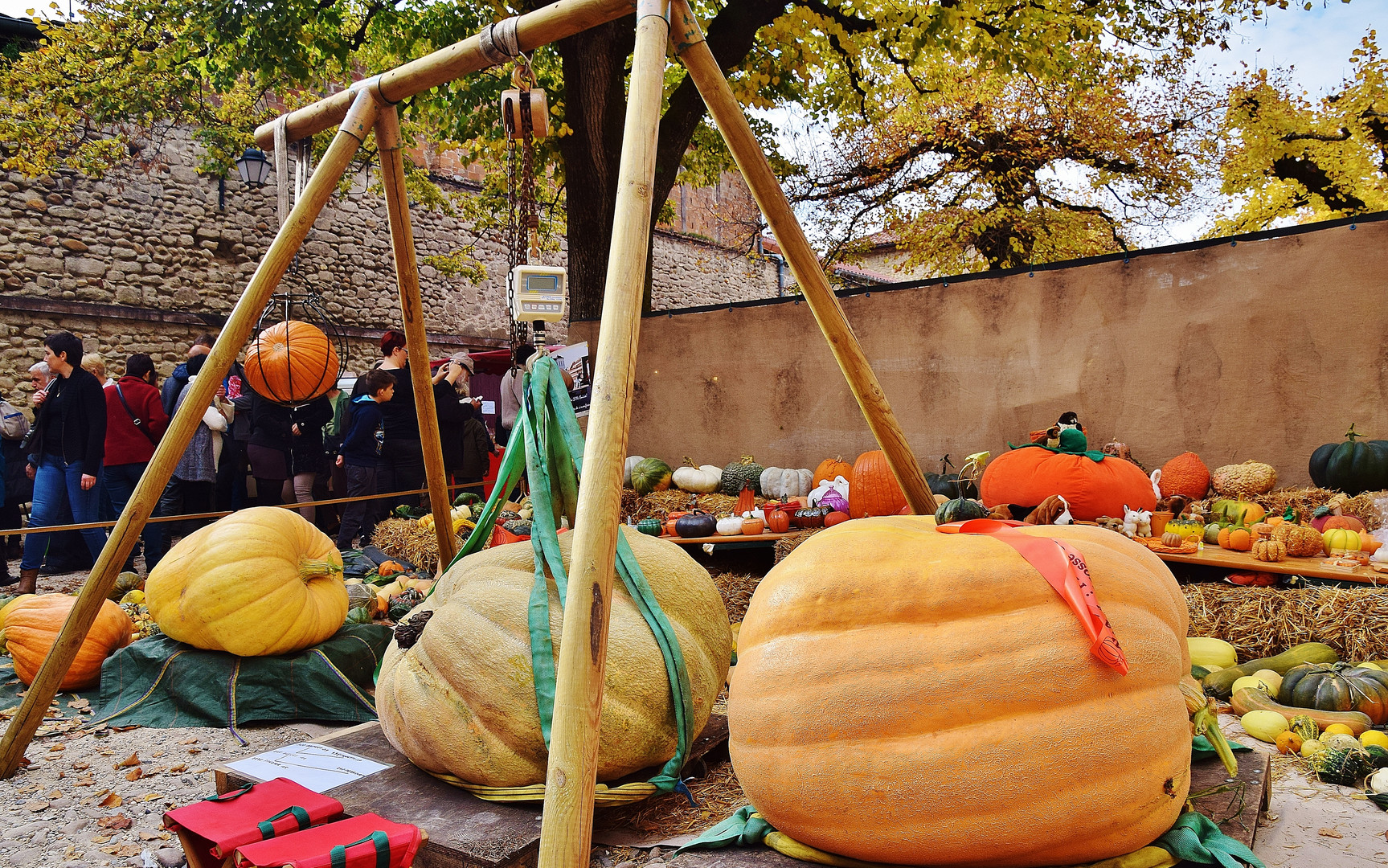 Foire aux potirons........