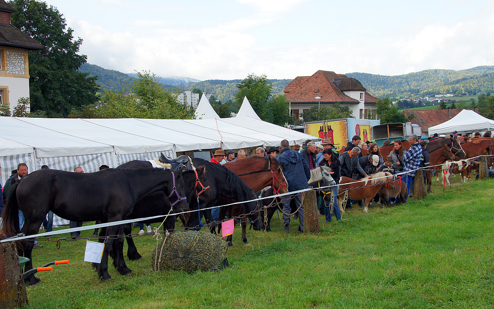 ..Foire de Chaindon..