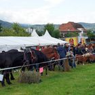 ..Foire de Chaindon..