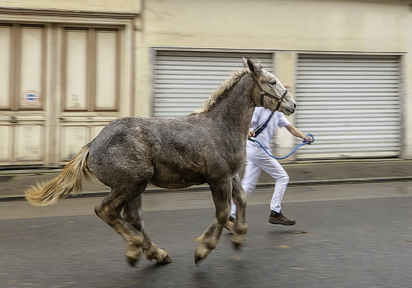 Foire de la Sainte Cécile 2019