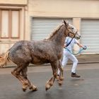 Foire de la Sainte Cécile 2019