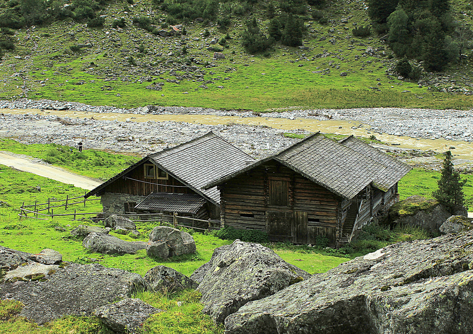 Foißenalm und die Malerin