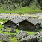 Foißenalm und die Malerin