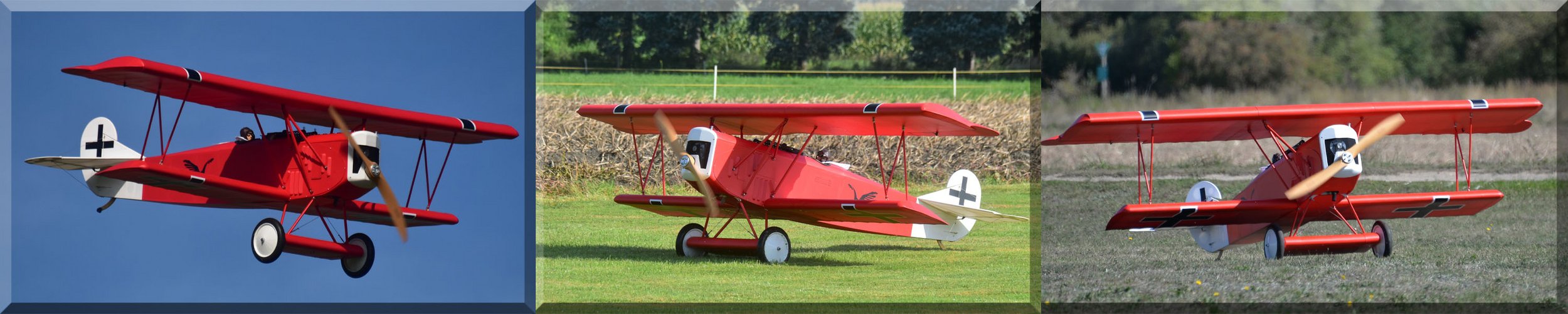 Fokker D 7