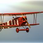 Fokker D-VII im Anflug !