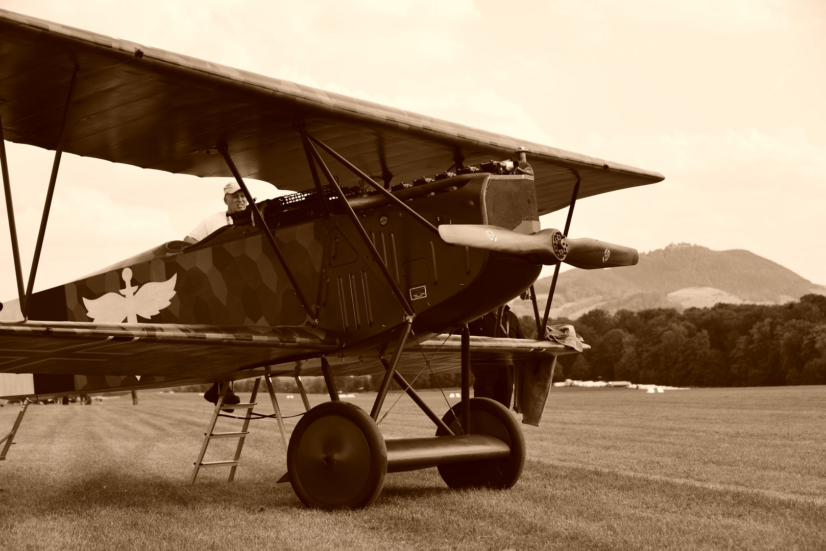 Fokker D7