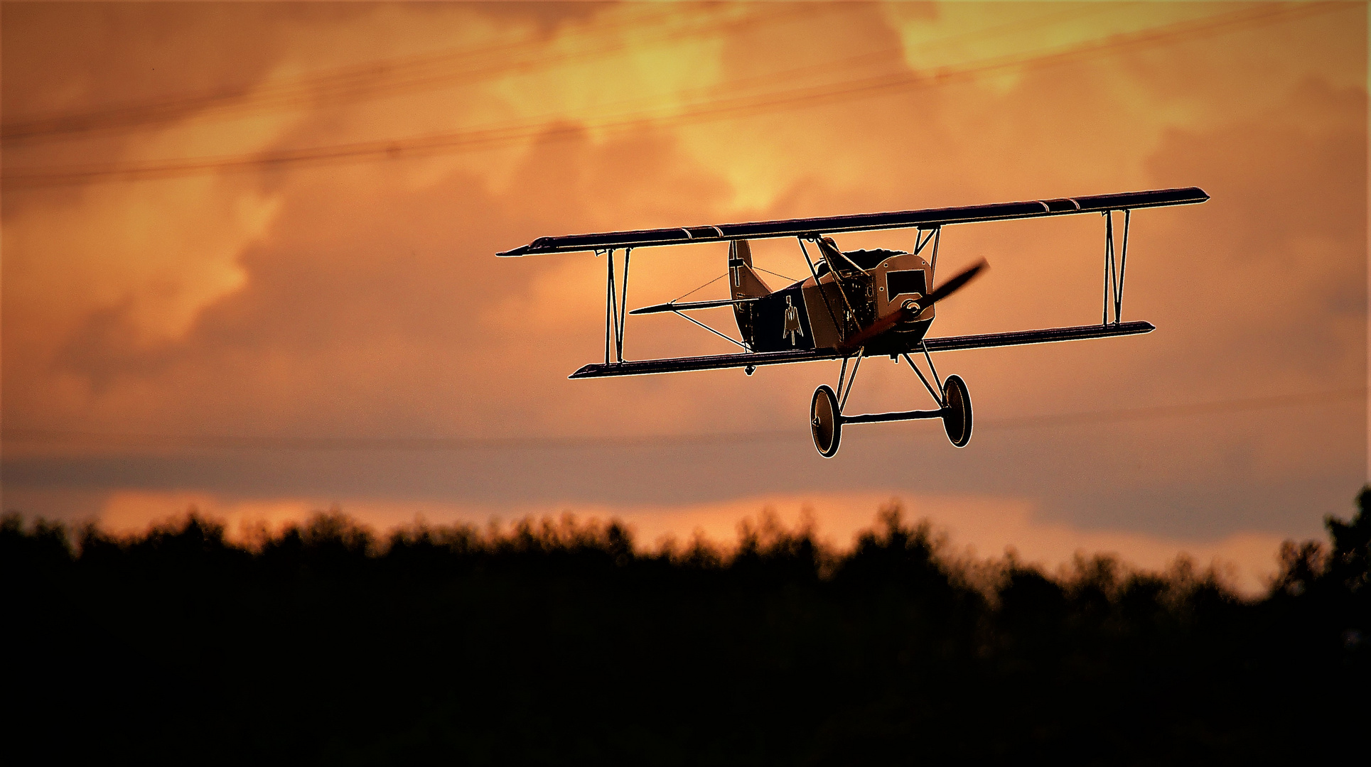 Fokker D7 