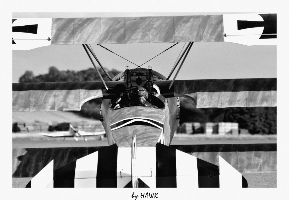Fokker DR I - Chase View
