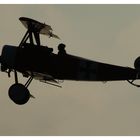 Fokker DR1