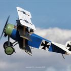 Fokker Dr.I "SCALE"