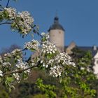 FOKUSIERT - Frühlingserwachen an der Burg Ranis 