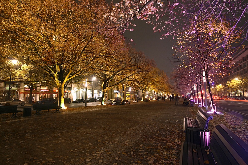 FoL 2007 - Unter den Linden