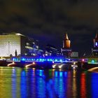 FOL 2010. Über diese Brücke mußt Du geh'n