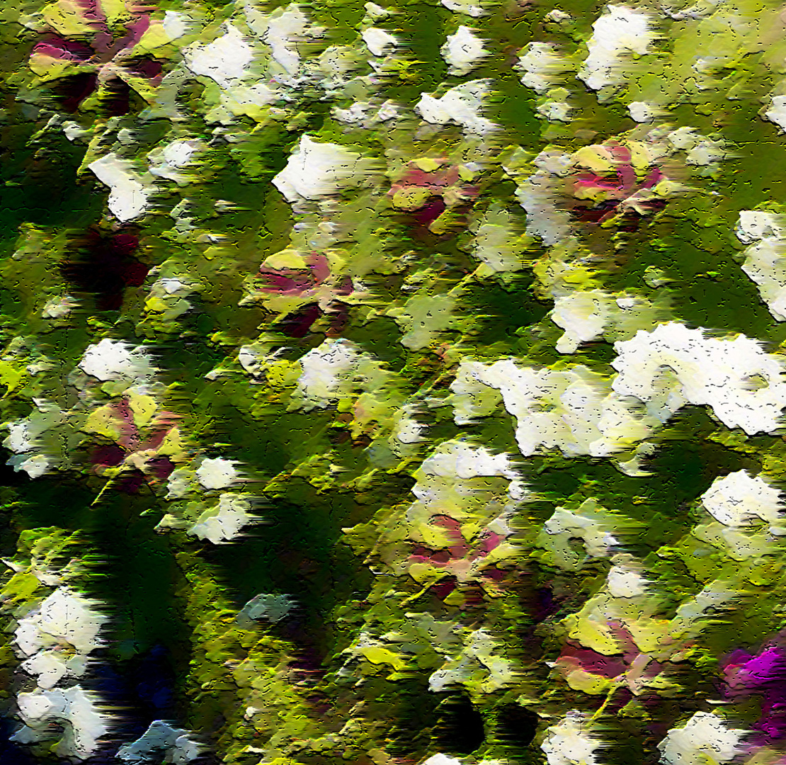 Folata di vento tra i fiori del giardino