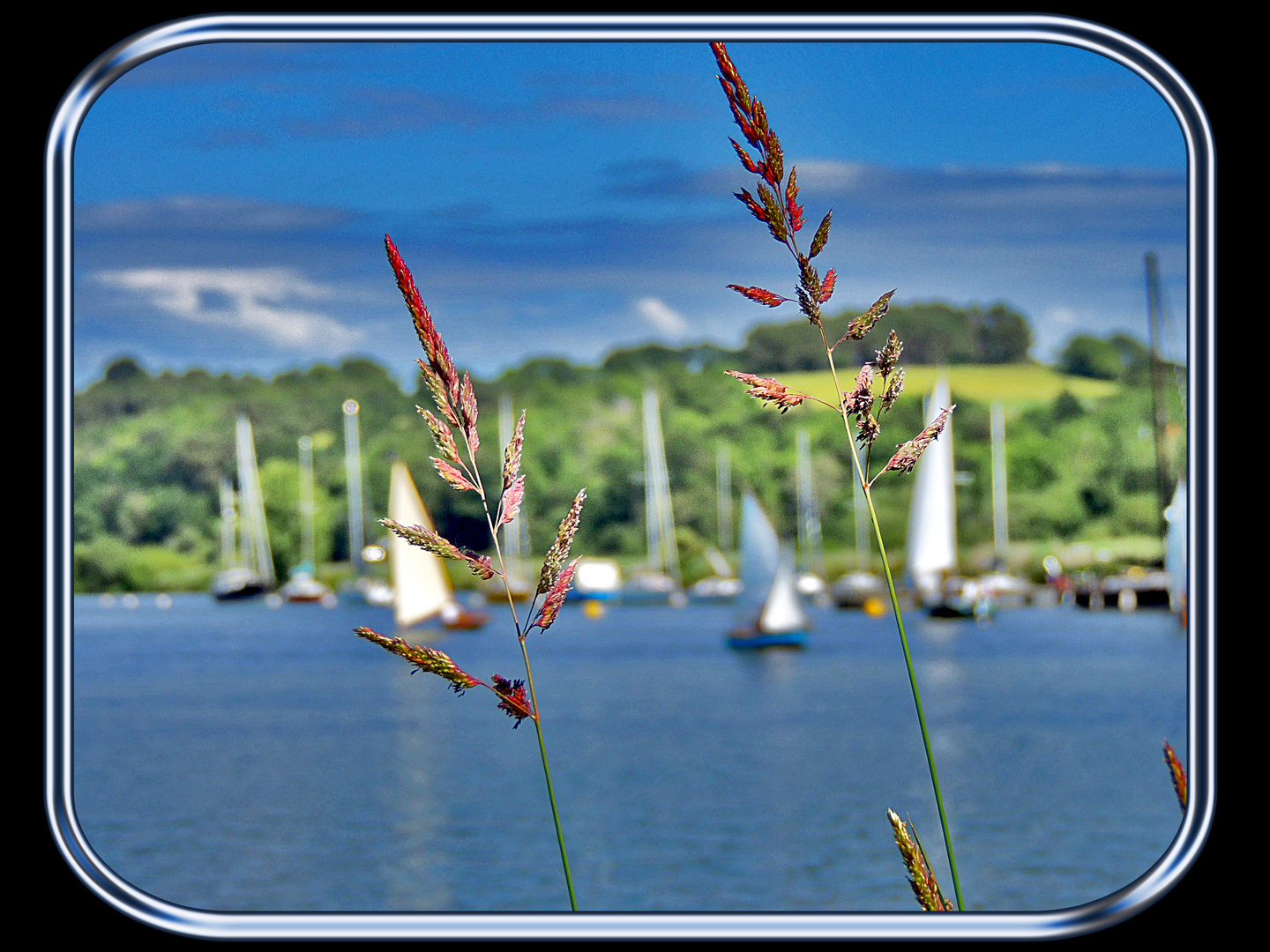 Foleux derrière les herbes