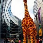 Folg der Giraffe ...