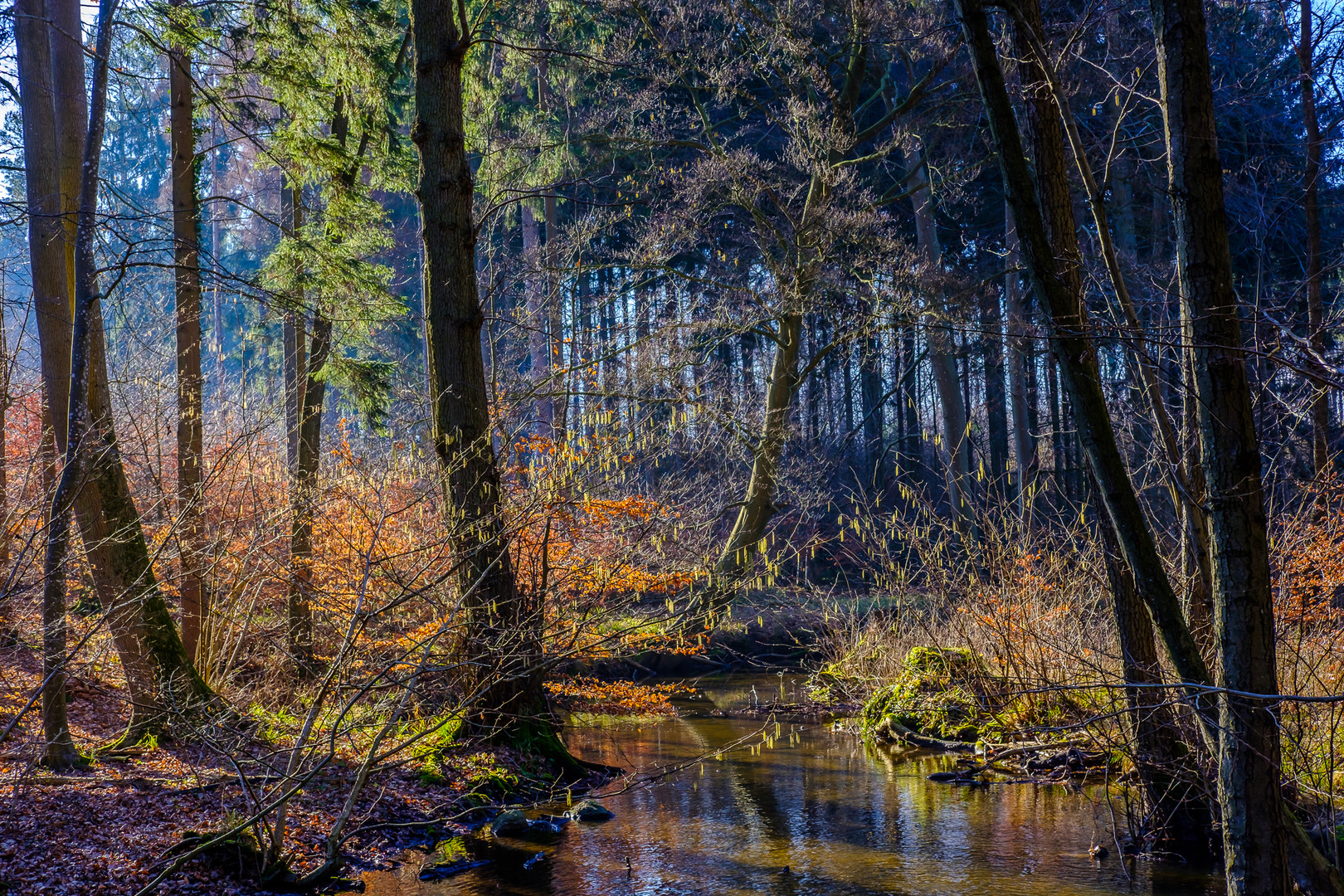 Folge dem Licht