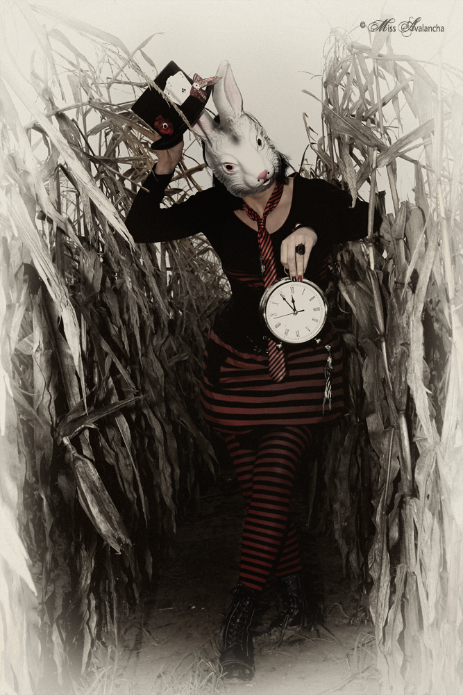 Folge dem weißen Kaninchen Foto & Bild szene, fantasy, menschen Bilder auf