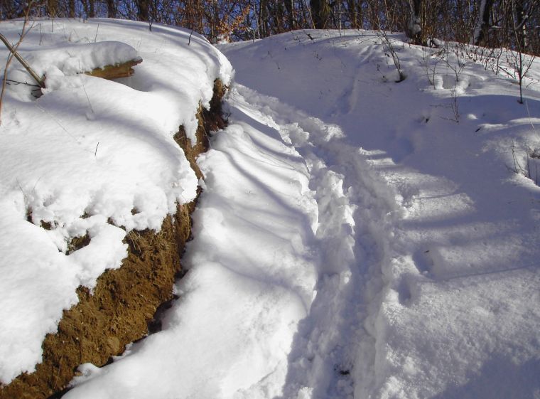 folge den Schneespuren..!