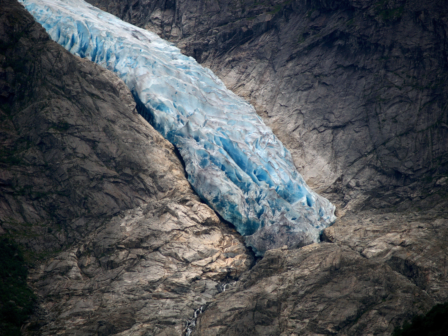 Folgefonn-Gletscher-Zunge