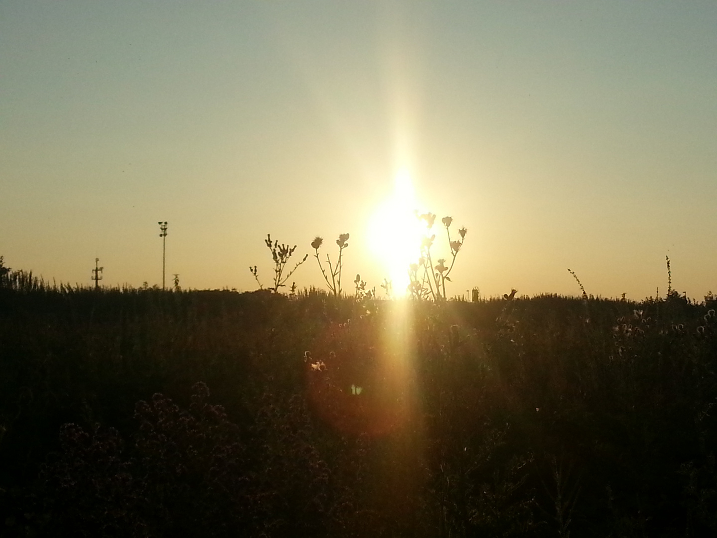 folgende Sonnenuntergang