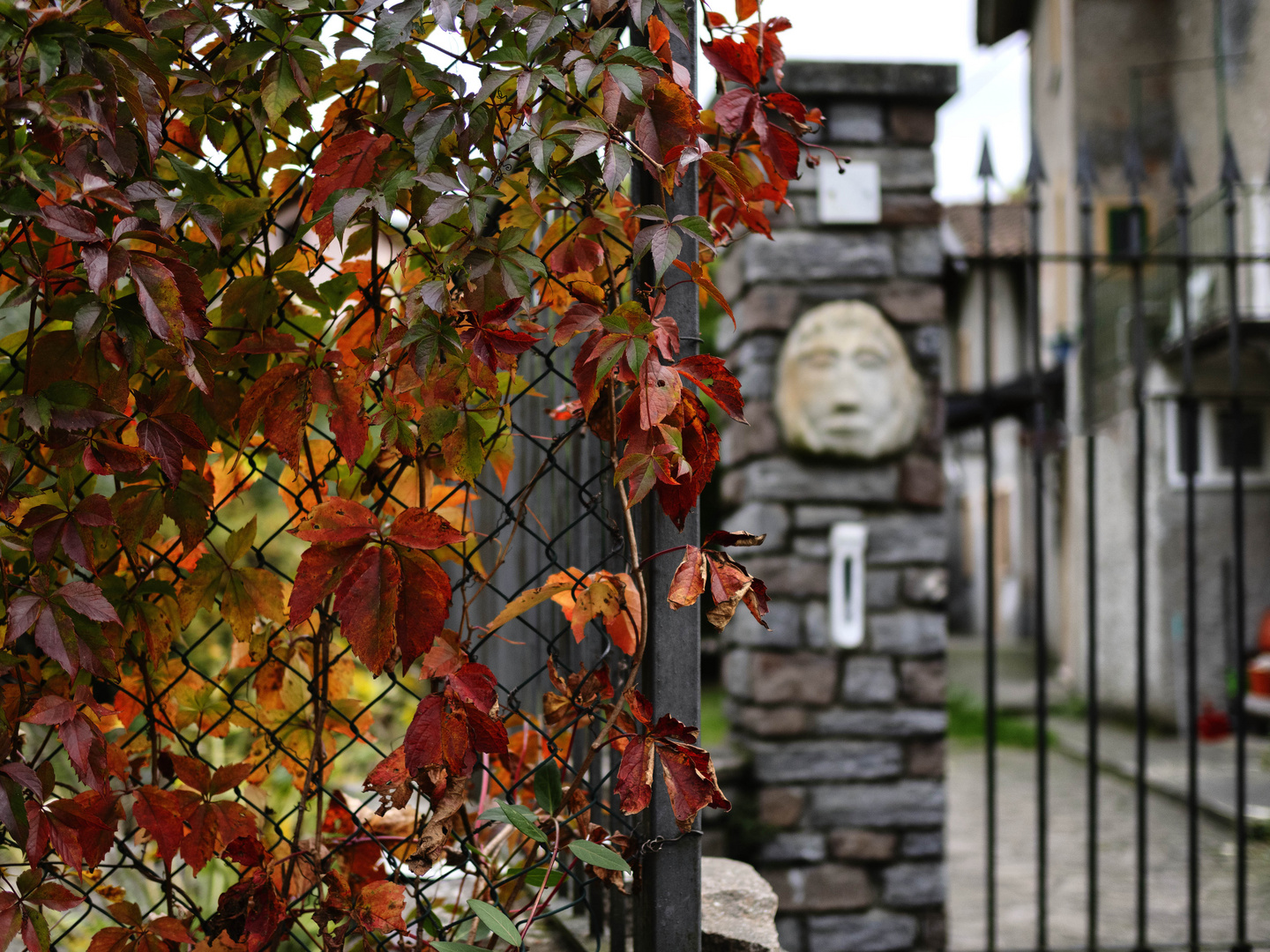 Foliage a Castello