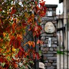 Foliage a Castello