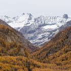 Foliage di novembre