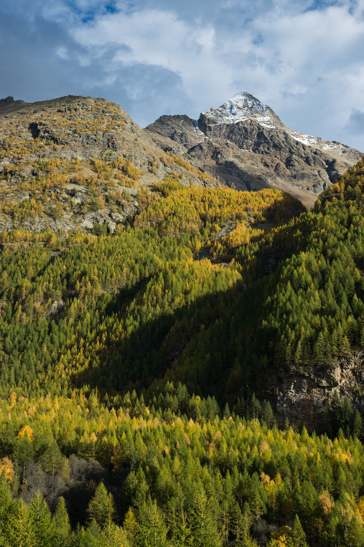 Foliage di ottobre