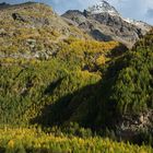 Foliage di ottobre