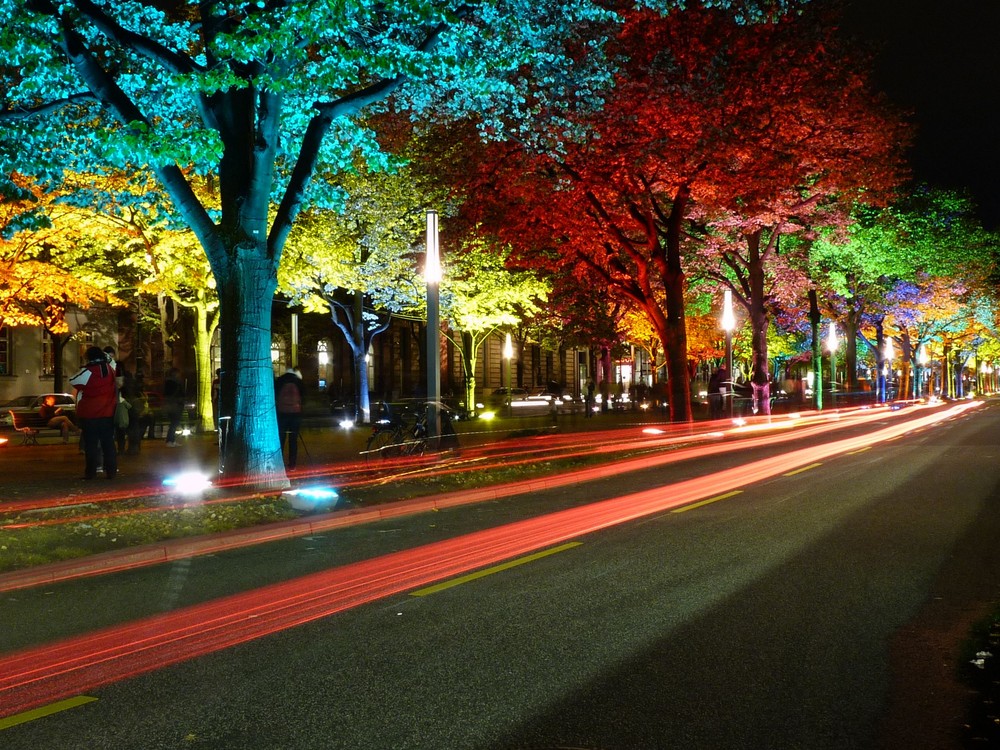 Foliage in Berlin