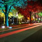 Foliage in Berlin