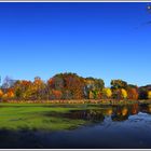 Foliage / Indian Summer