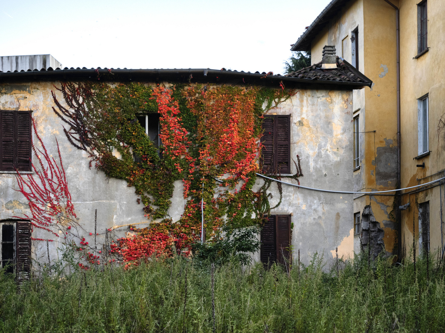 Foliage sui ruderi