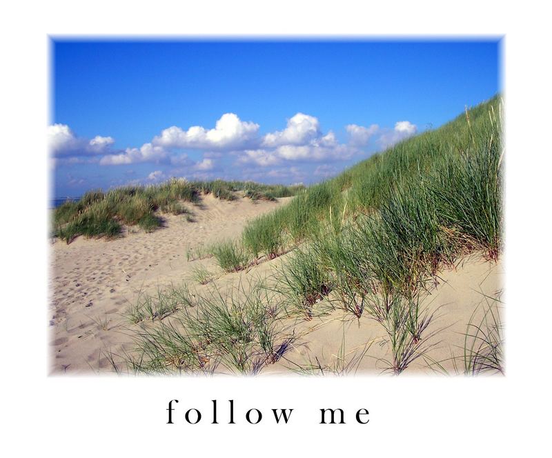 follow me