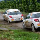 Follow me... (Rallye Deutschland; Etappe bei Trier)