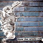 Follow the white rabbit