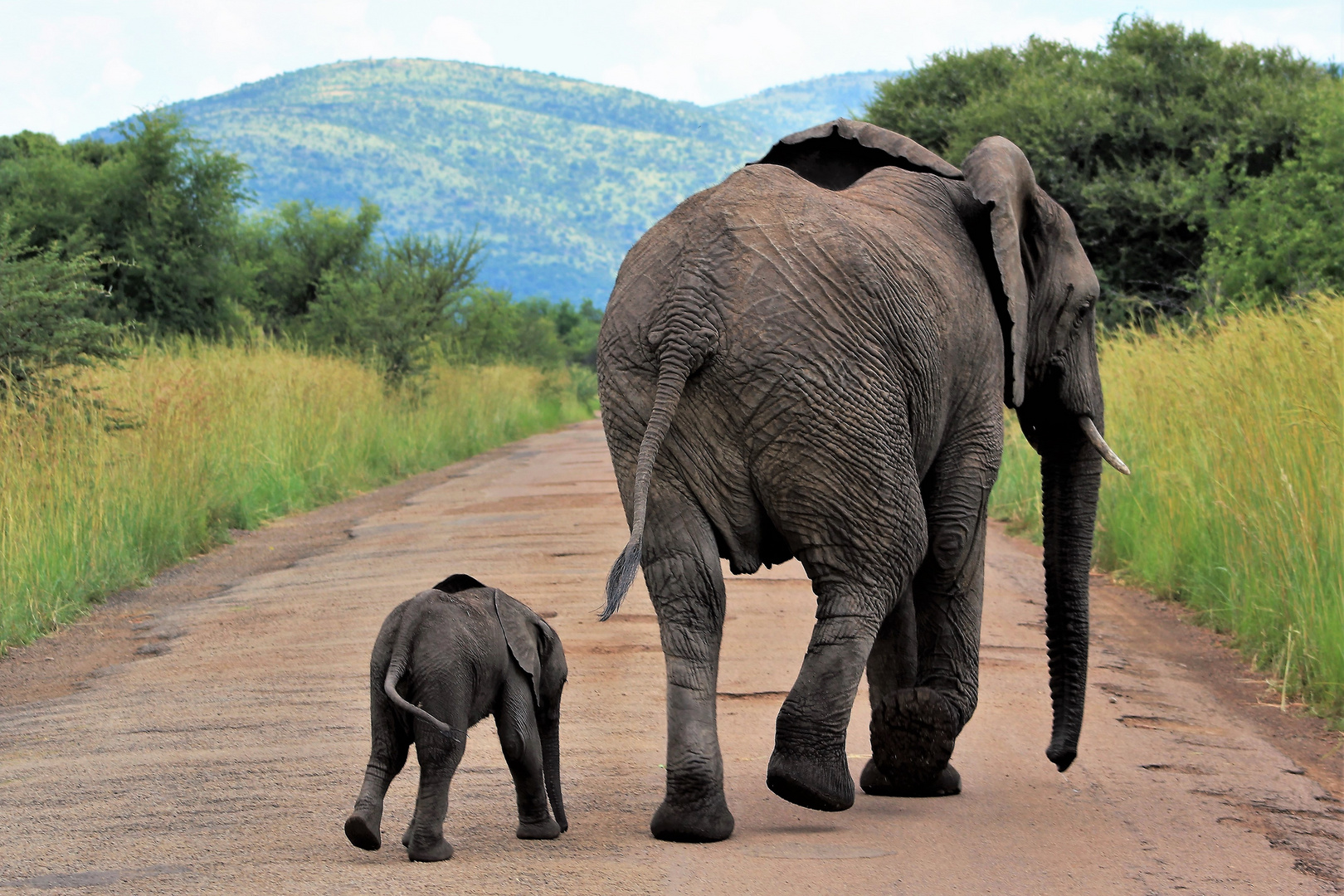 Following mom...