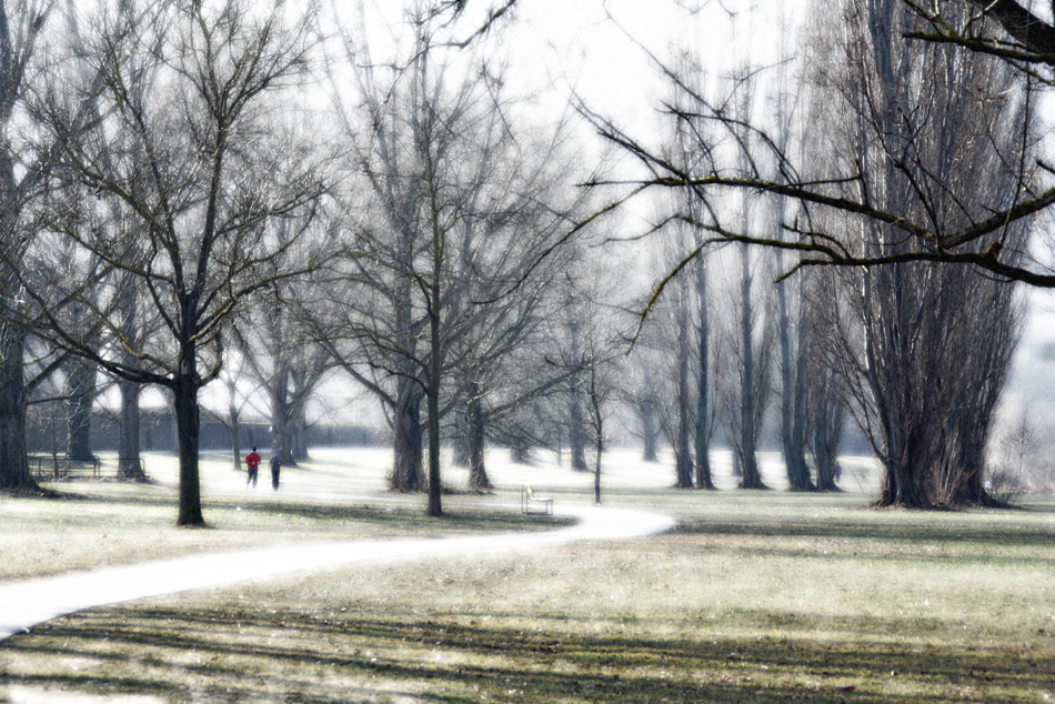 Following Path