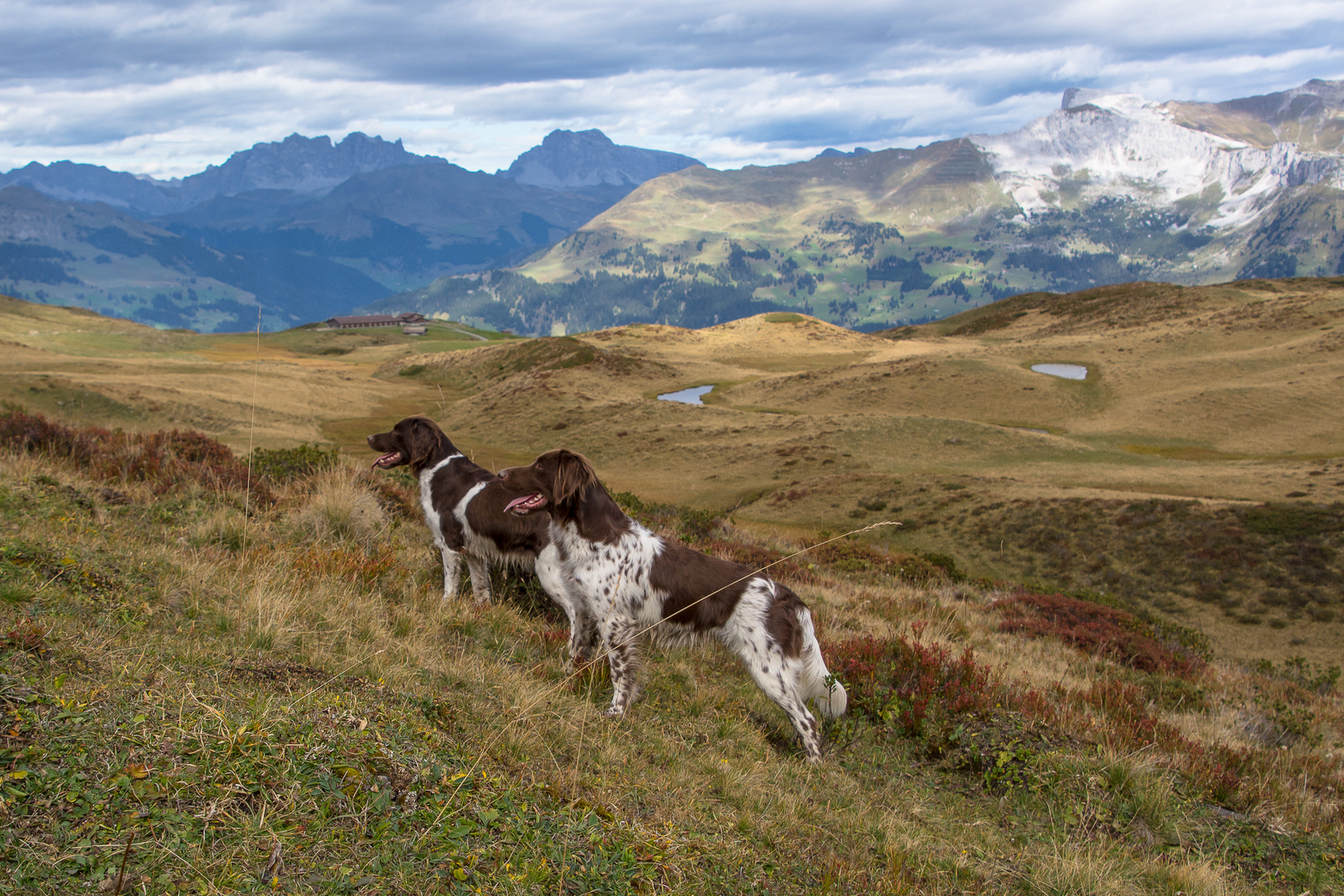 Fondai ein Hochtal zwischen Chur und Arosa in der Schweiz