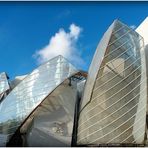 FONDATION - LOUIS VUITTON  - 1 -