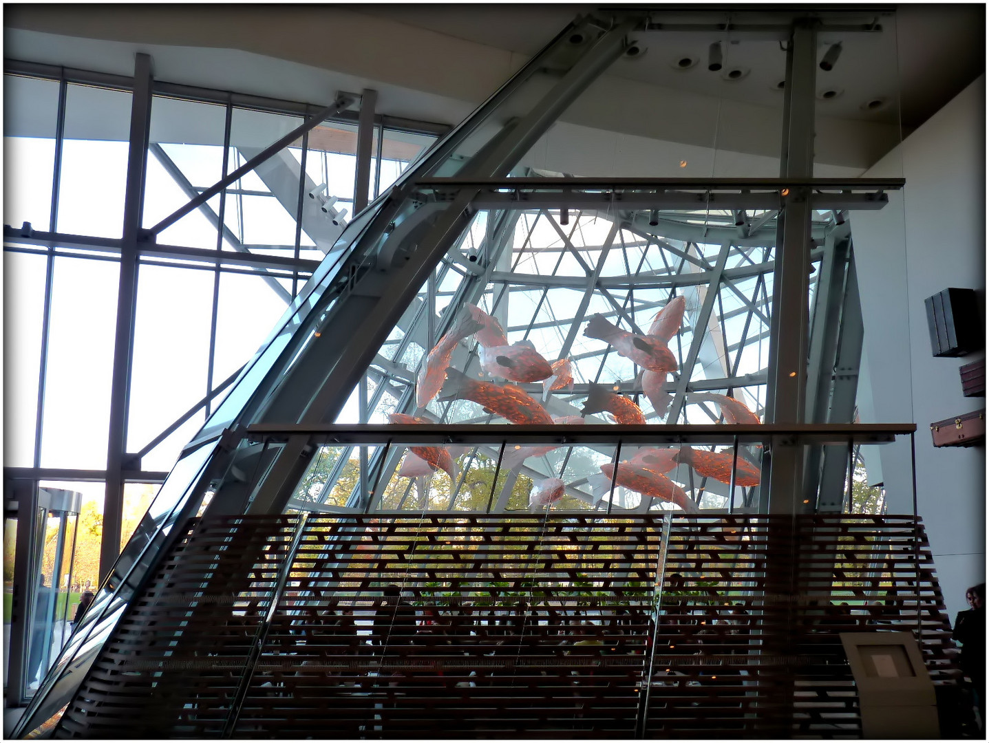 FONDATION - LOUIS VUITTON - 15 -