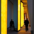 FONDATION - LOUIS VUITTON - 19 -