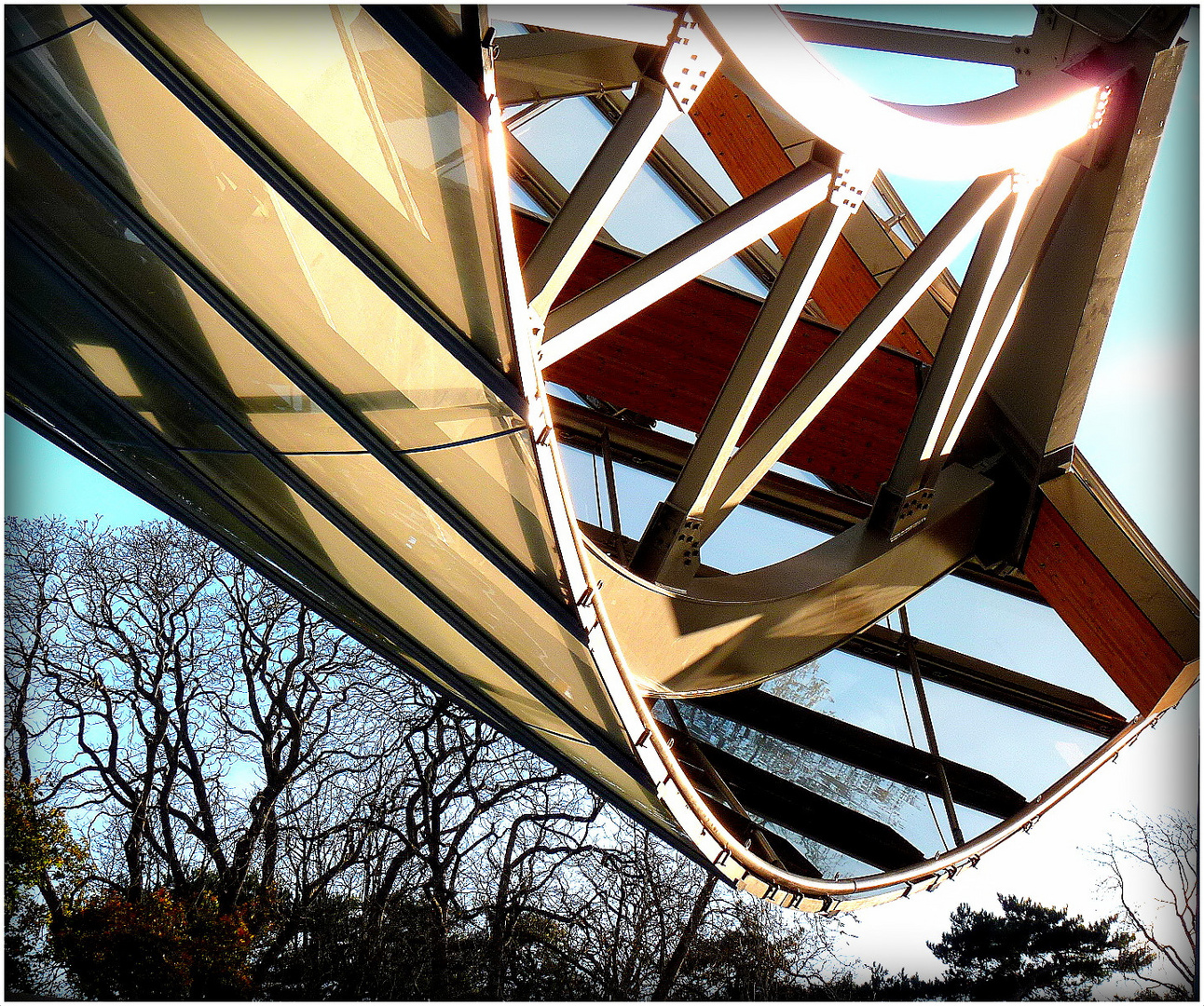 FONDATION - LOUIS VUITTON - 24 -