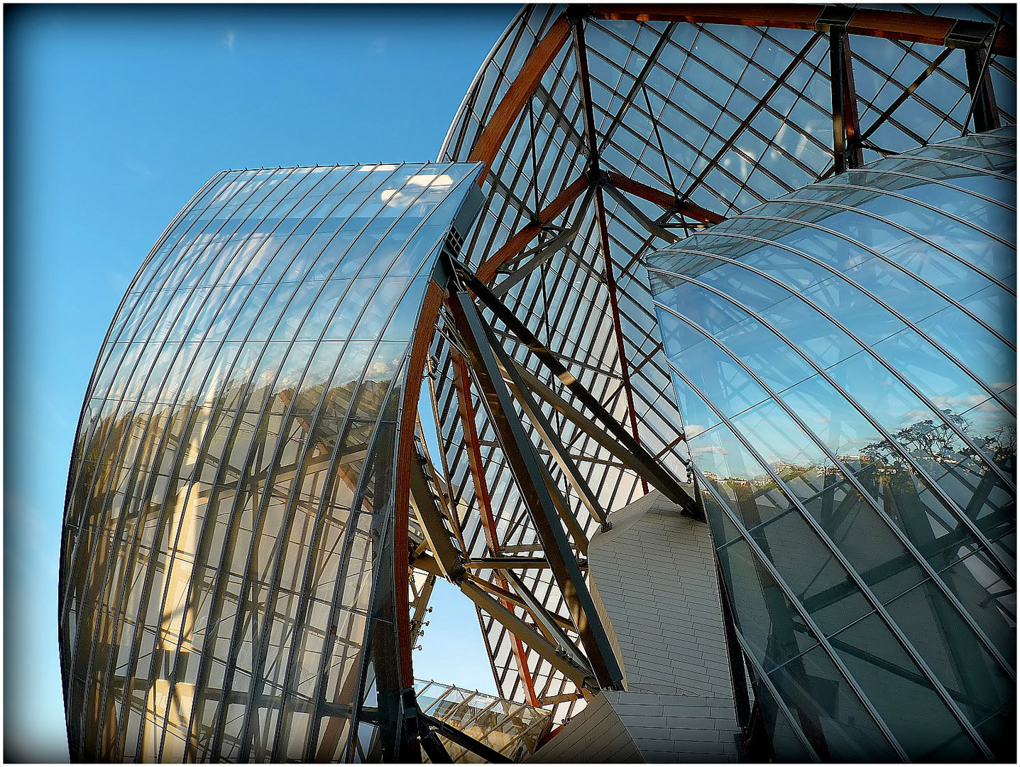 FONDATION - LOUIS VUITTON - 31 -